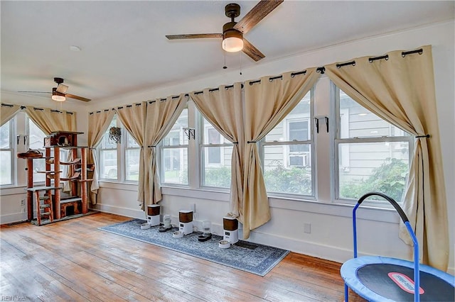 miscellaneous room featuring hardwood / wood-style floors, ceiling fan, and a wealth of natural light