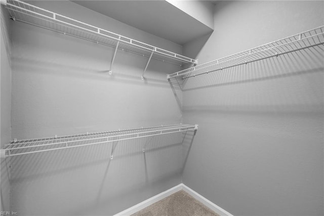 spacious closet with carpet flooring