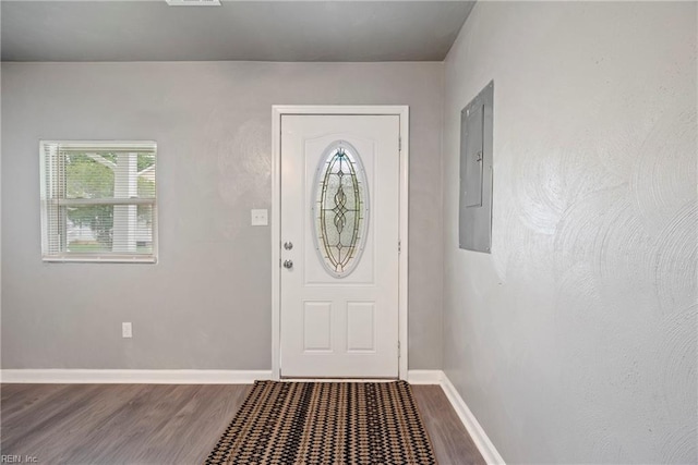 foyer with wood-type flooring