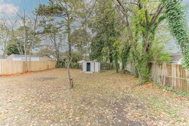 view of yard with a storage unit