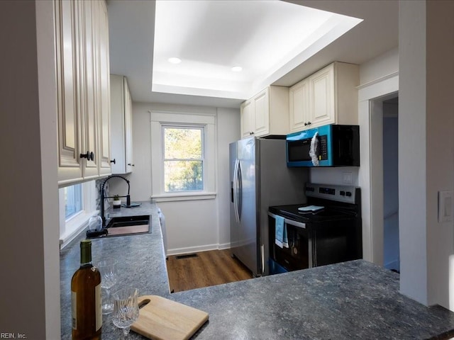 kitchen with a raised ceiling, sink, dark hardwood / wood-style floors, and appliances with stainless steel finishes