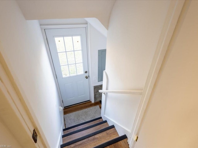 entryway featuring hardwood / wood-style flooring