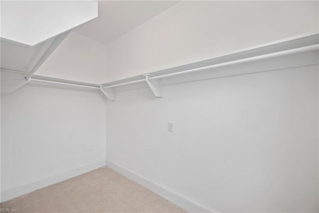 spacious closet with carpet floors