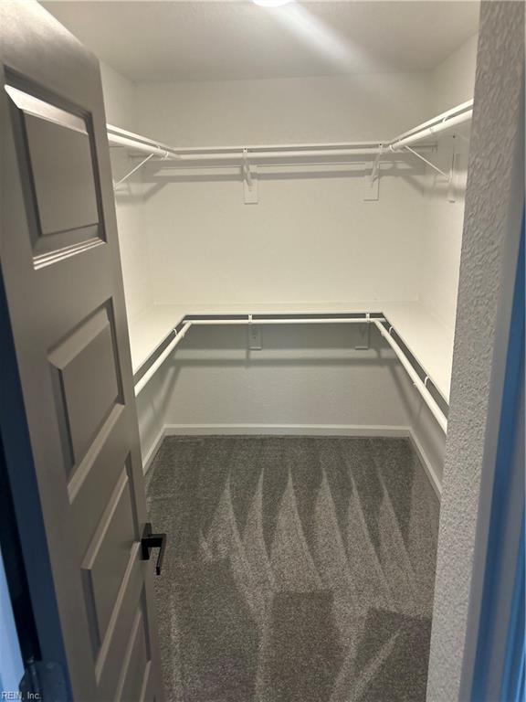 spacious closet with dark colored carpet