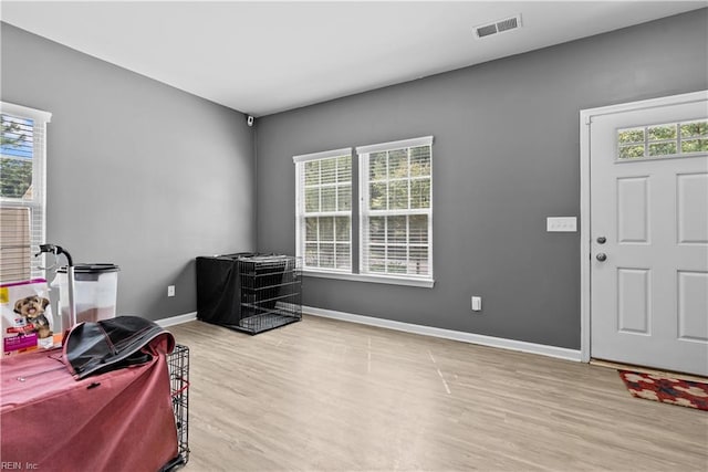 interior space featuring light hardwood / wood-style floors and a wealth of natural light