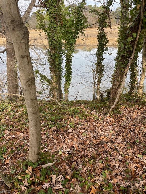 216 Riverview Ave, Smithfield, VA 23430