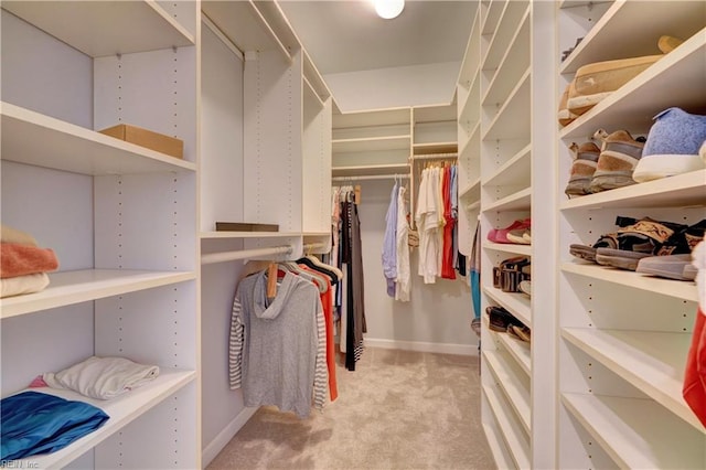 spacious closet with light colored carpet