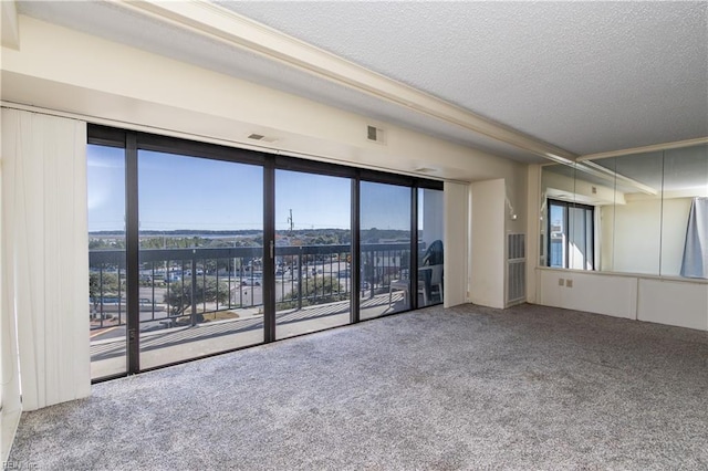 carpeted spare room with a wall of windows, a textured ceiling, and a wealth of natural light