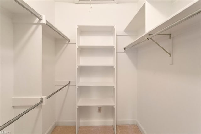 view of walk in closet