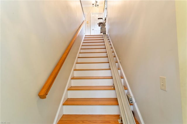 stairs with hardwood / wood-style flooring