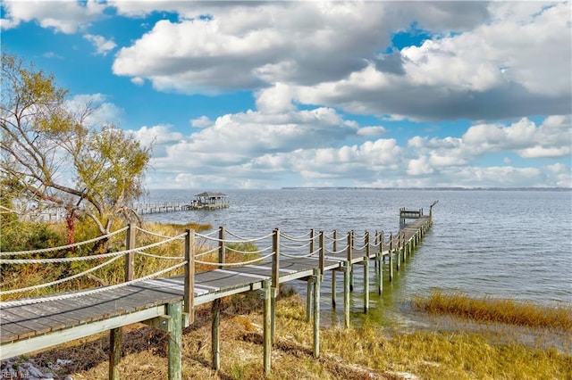 dock area featuring a water view