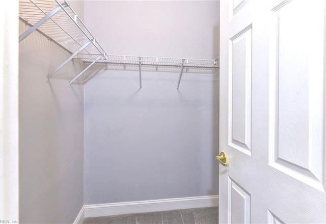 walk in closet with carpet