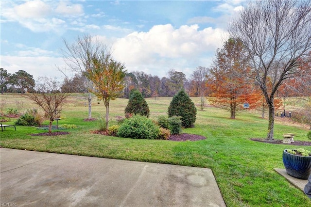 view of yard with a patio and a rural view