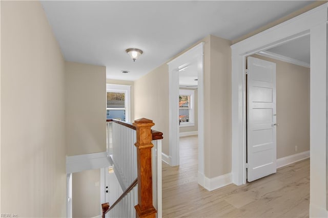 hallway with crown molding and light hardwood / wood-style floors