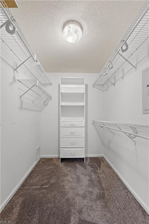 spacious closet with dark carpet