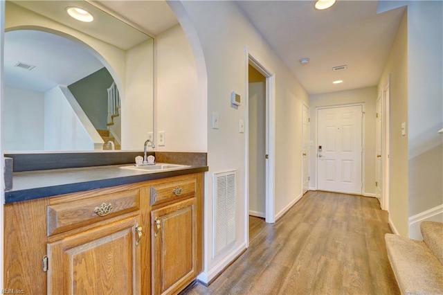 bathroom featuring wood-type flooring and vanity