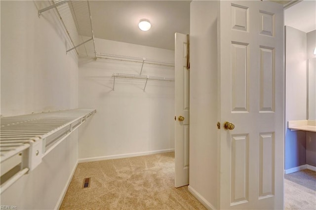 spacious closet with light colored carpet