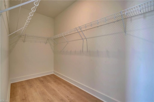 spacious closet featuring wood-type flooring