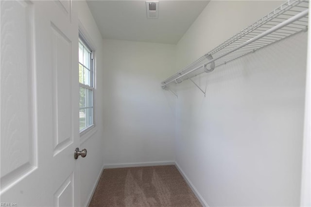 walk in closet featuring carpet