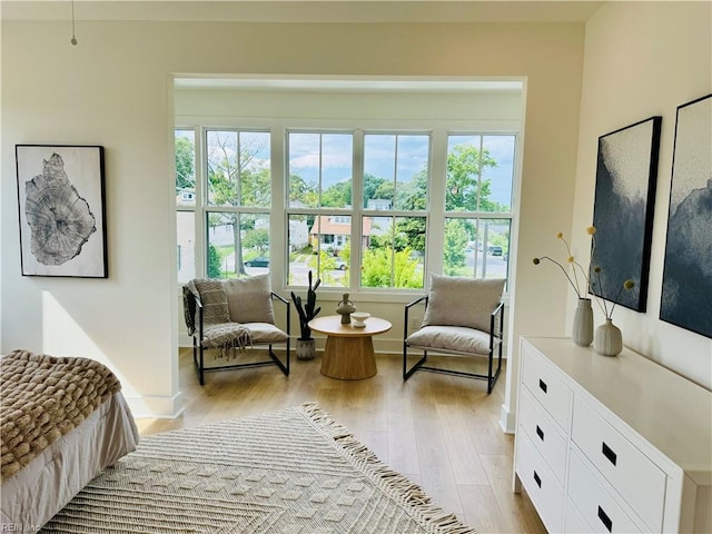 bedroom with light hardwood / wood-style floors