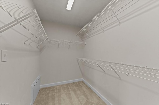 spacious closet with light carpet