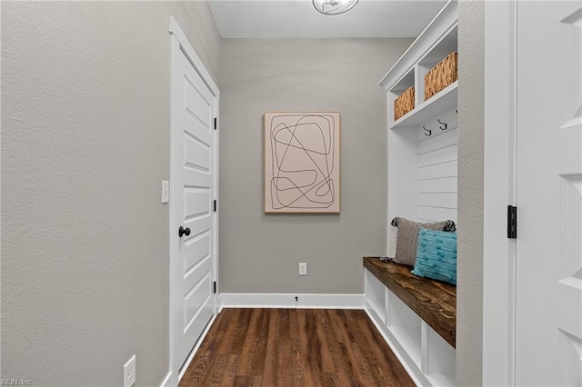 mudroom featuring dark hardwood / wood-style floors