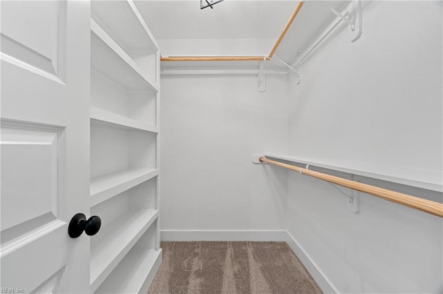 walk in closet featuring carpet flooring