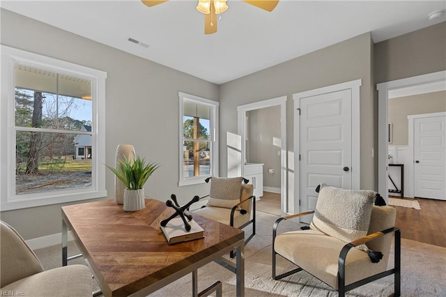 office area featuring ceiling fan, light hardwood / wood-style floors, and a wealth of natural light