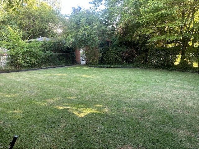 1049 Brandon Ave, Norfolk, VA 23507 - view of green lawn