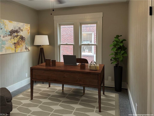 1049 Brandon Ave, Norfolk, VA 23507 - office space featuring ornamental molding, a ceiling fan, and light colored carpet