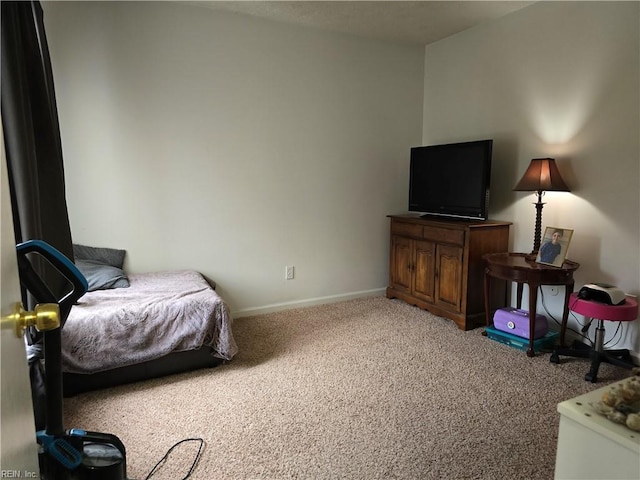 bedroom with carpet floors