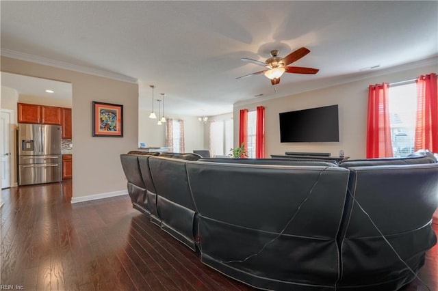 living room with crown molding, ceiling fan with notable chandelier, and dark hardwood / wood-style floors