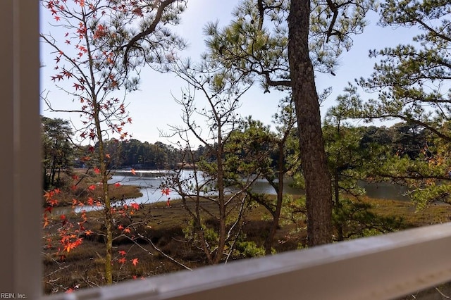 view of water feature