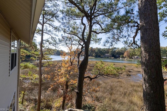 view of yard with a water view