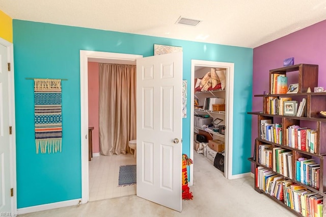 interior space with light carpet