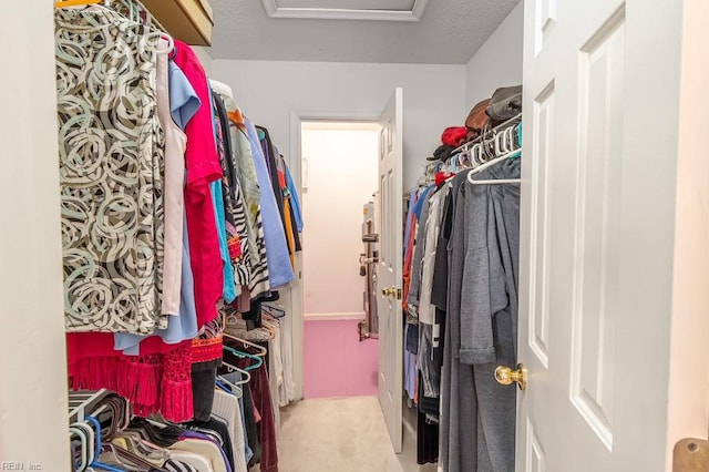 walk in closet with light colored carpet