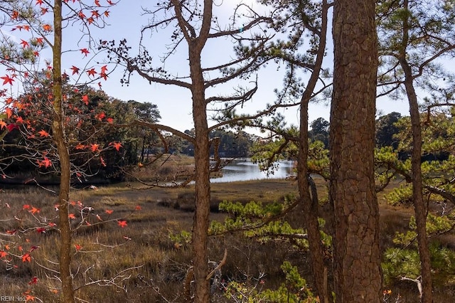 view of landscape with a water view