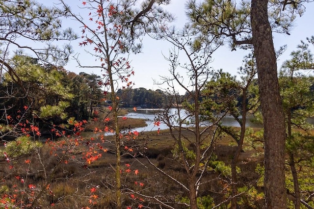 property view of water