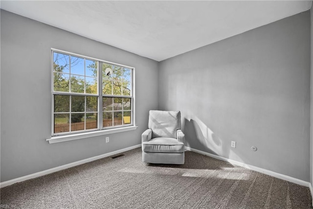 living area featuring carpet floors