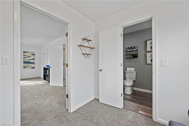 bathroom featuring hardwood / wood-style floors