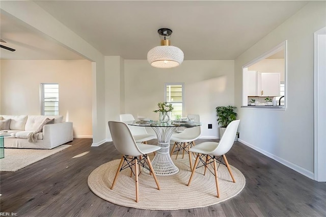 dining space featuring ceiling fan, sink, and dark wood-type flooring