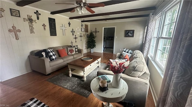 living room featuring beam ceiling, hardwood / wood-style flooring, ceiling fan, and a healthy amount of sunlight