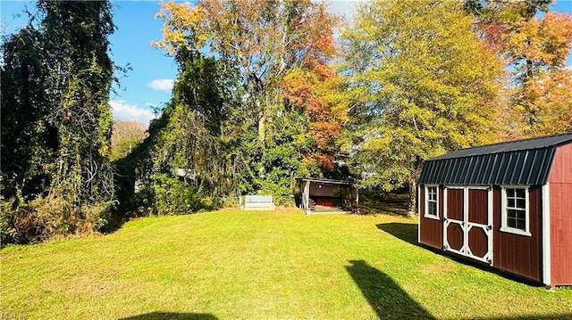 view of yard with a storage unit