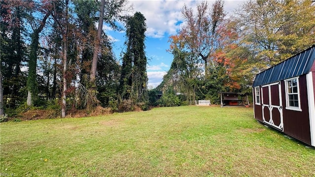 view of yard featuring a storage shed