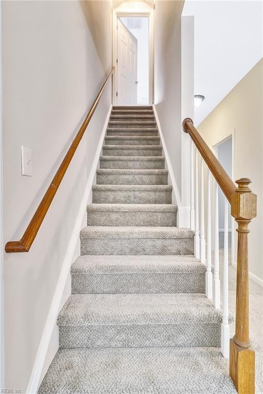 stairway featuring carpet floors