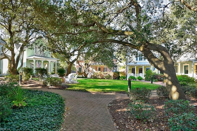 view of property's community featuring a lawn