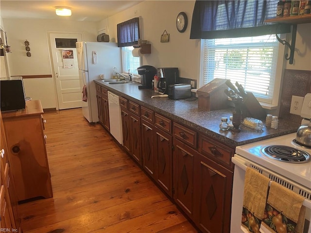 kitchen featuring dark brown cabinetry, sink, light hardwood / wood-style floors, and white appliances