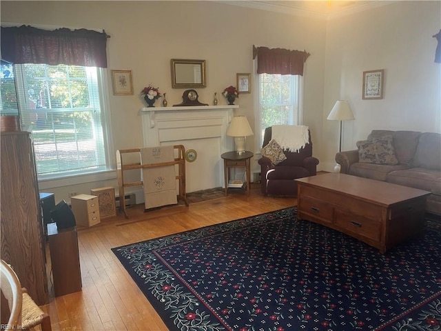 living room featuring ornamental molding, a healthy amount of sunlight, and wood-type flooring