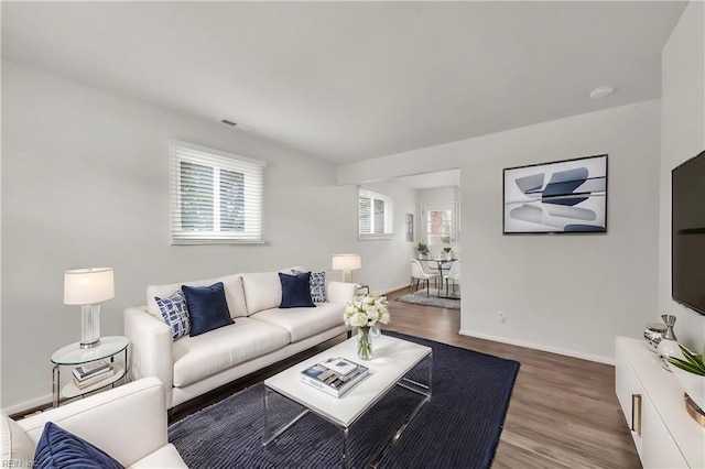 living room with hardwood / wood-style flooring