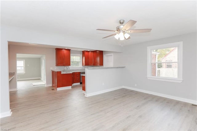 unfurnished living room featuring ceiling fan and light hardwood / wood-style floors